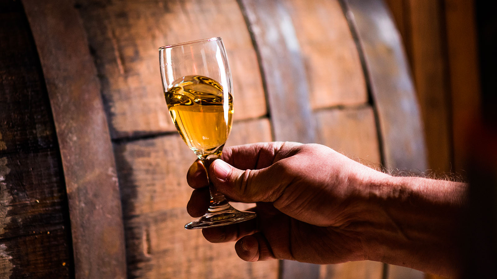 hand-holding-glass-barrel-alberta