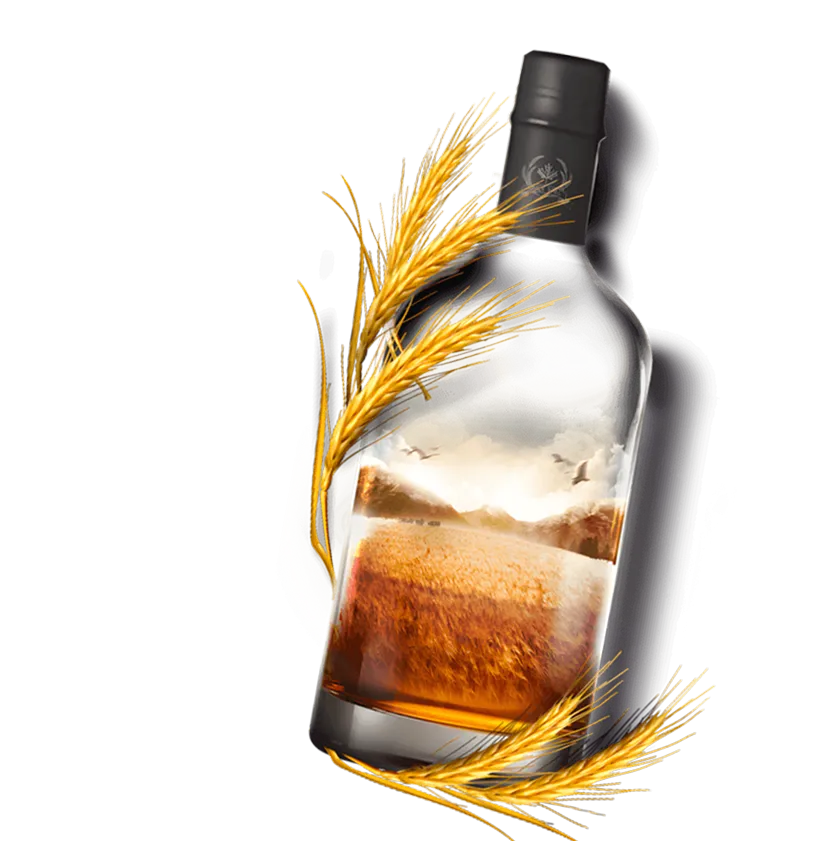 Wheat Field Reflection Bottle Grain Alberta