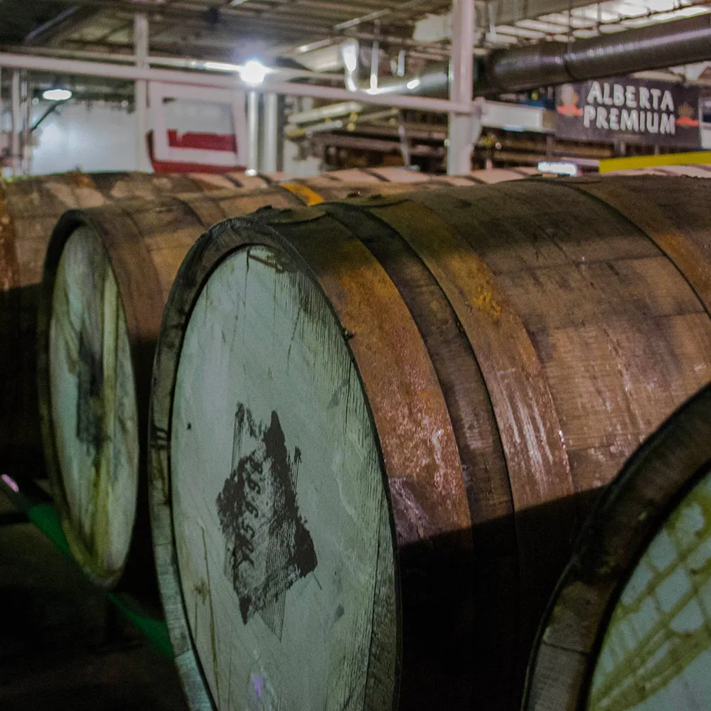 barrells-interior-sign-alberta