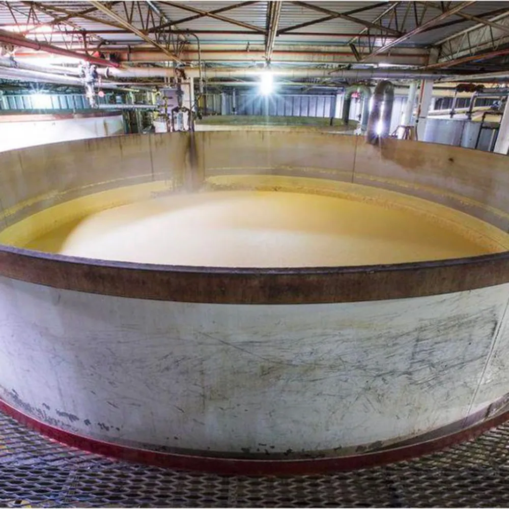 Wheat Field Reflection Bottle Grain Alberta