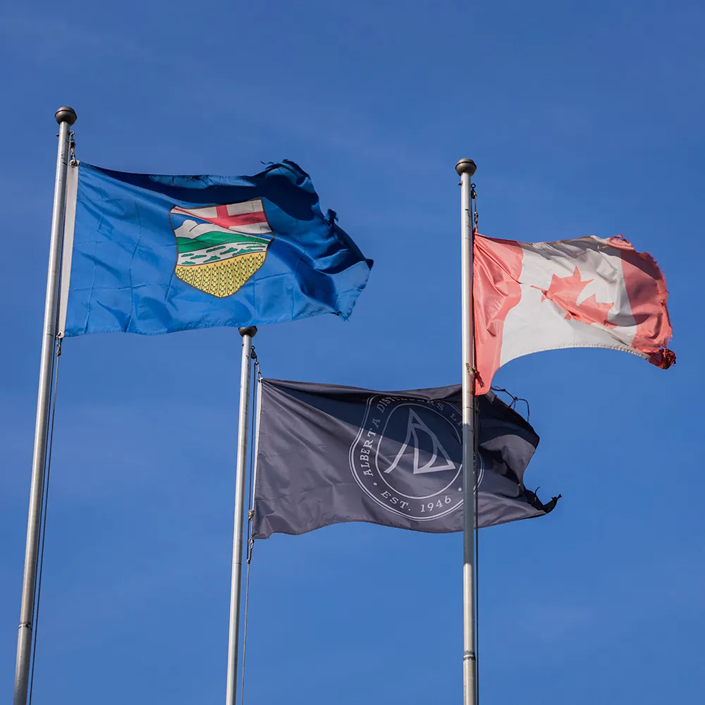 Flags Canada Alberta  Content