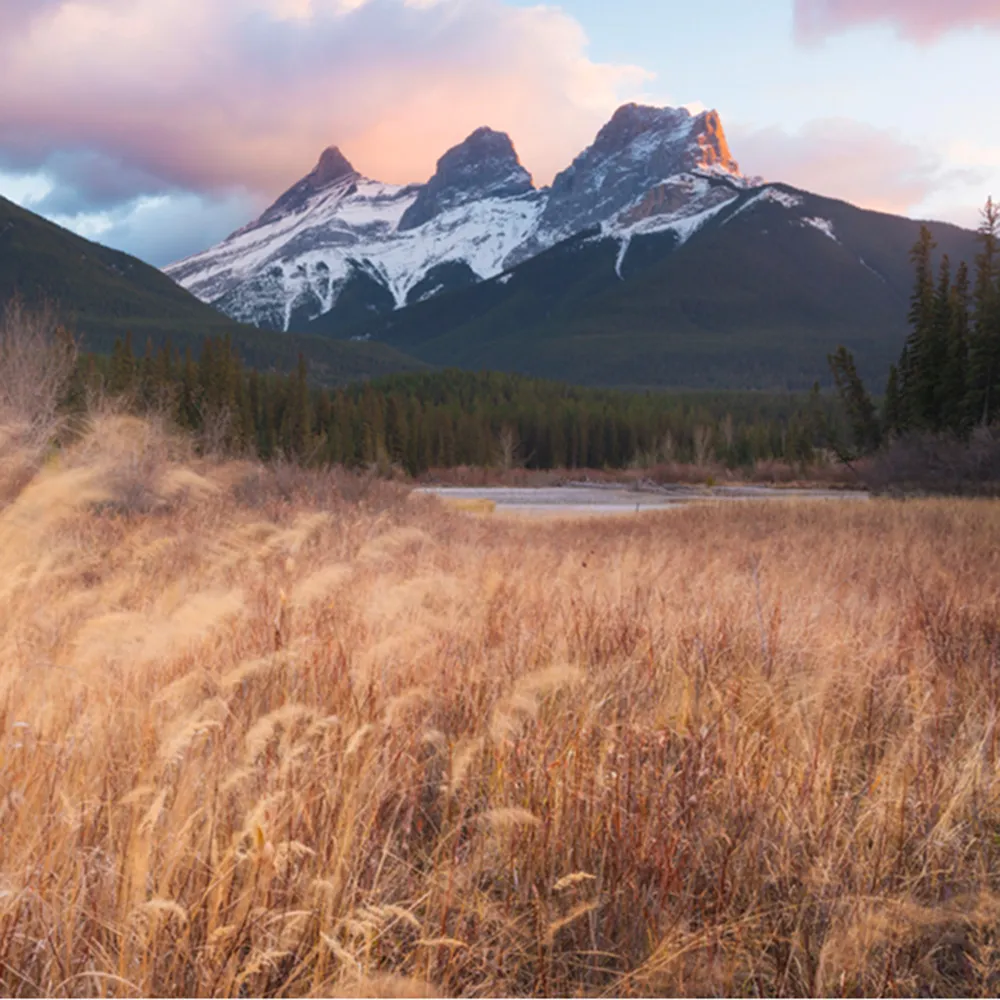 lake-mountain-wheat-alberta