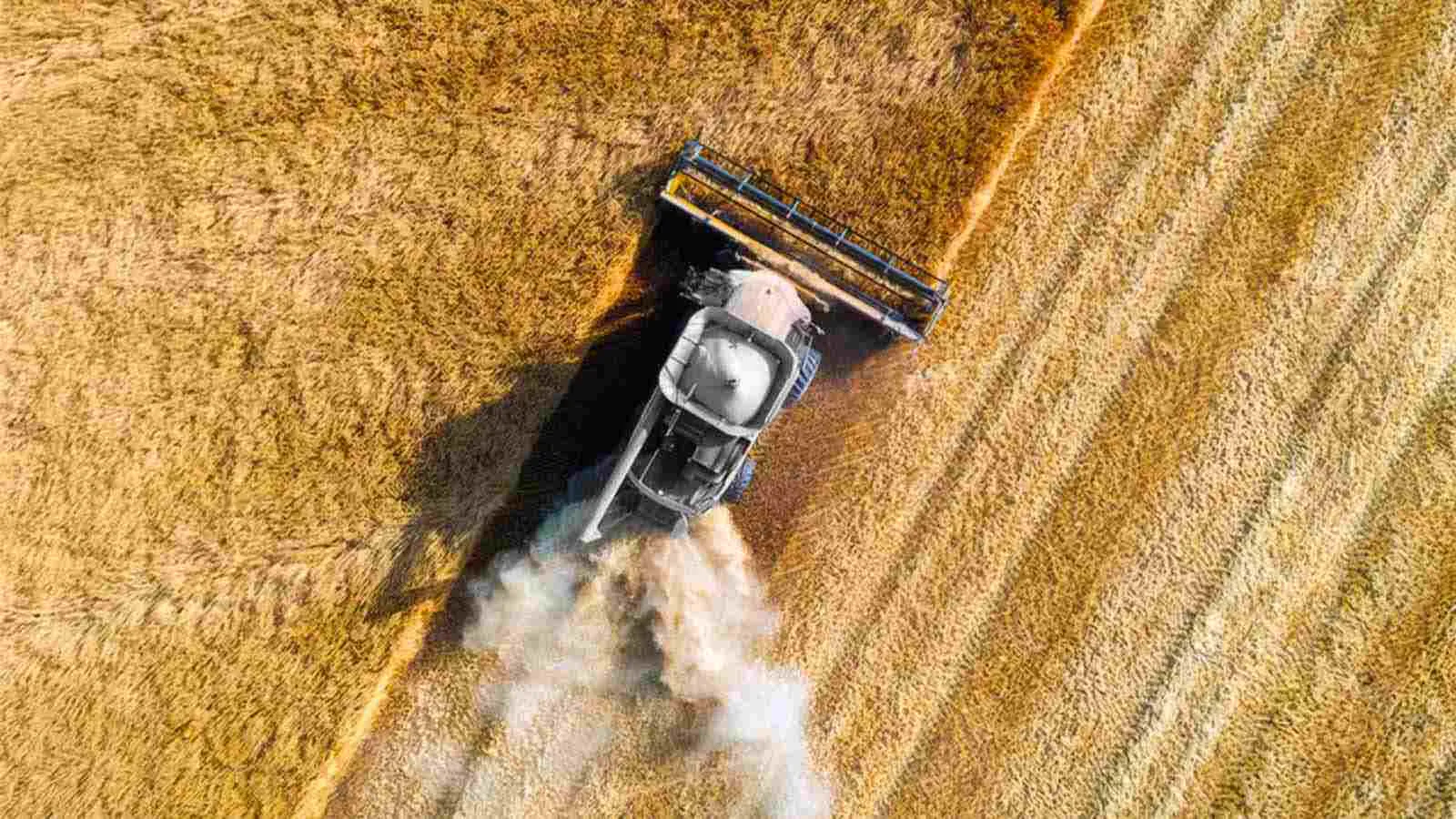 tractor harvest field